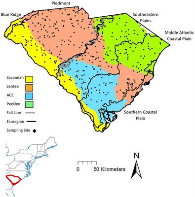 Effects of environment and metacommunity delineation on multiple dimensions of stream fish beta diversity